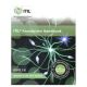 ITIL Foundation Handbook