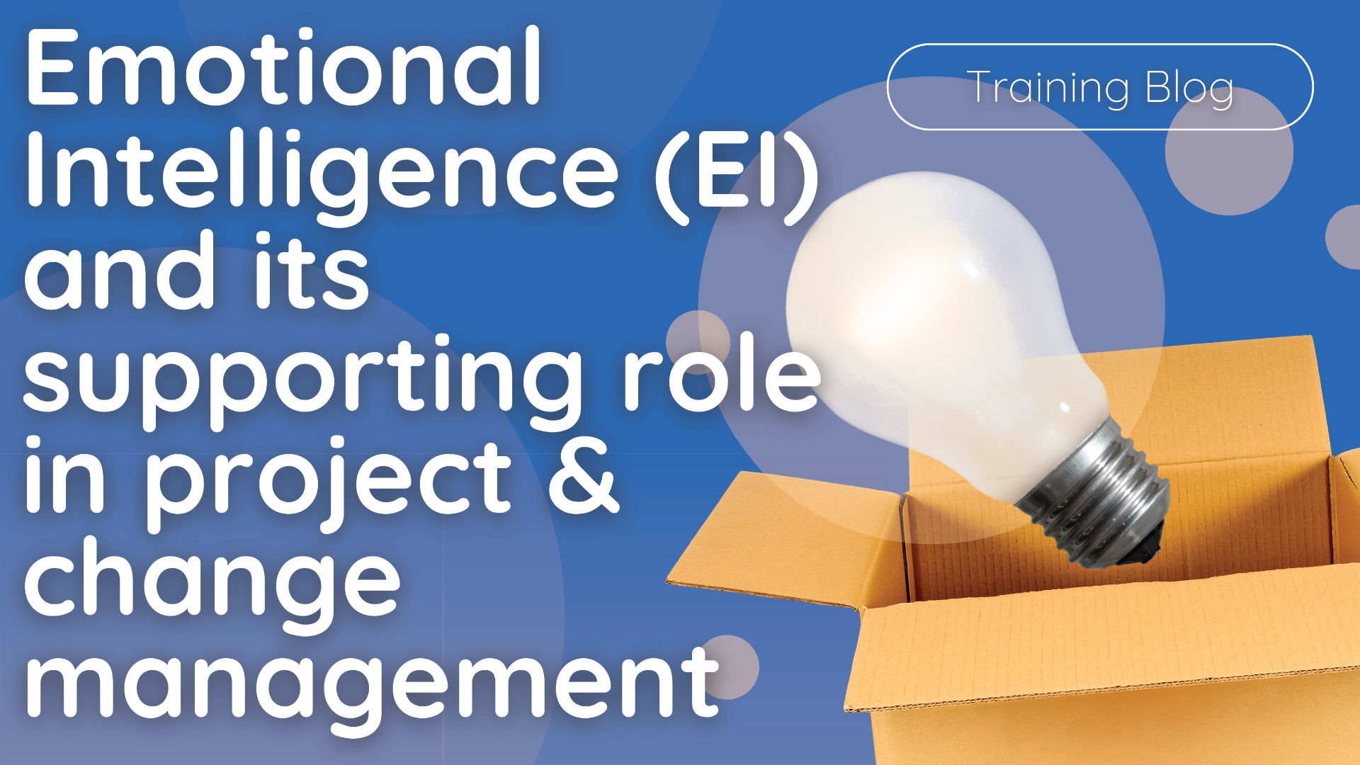 EI and traditional project approaches
