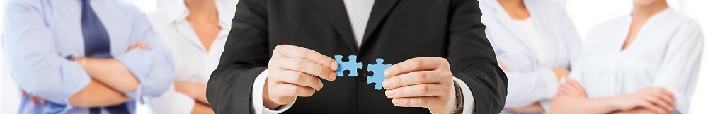 SPOCE-fit-the-missing-pieces